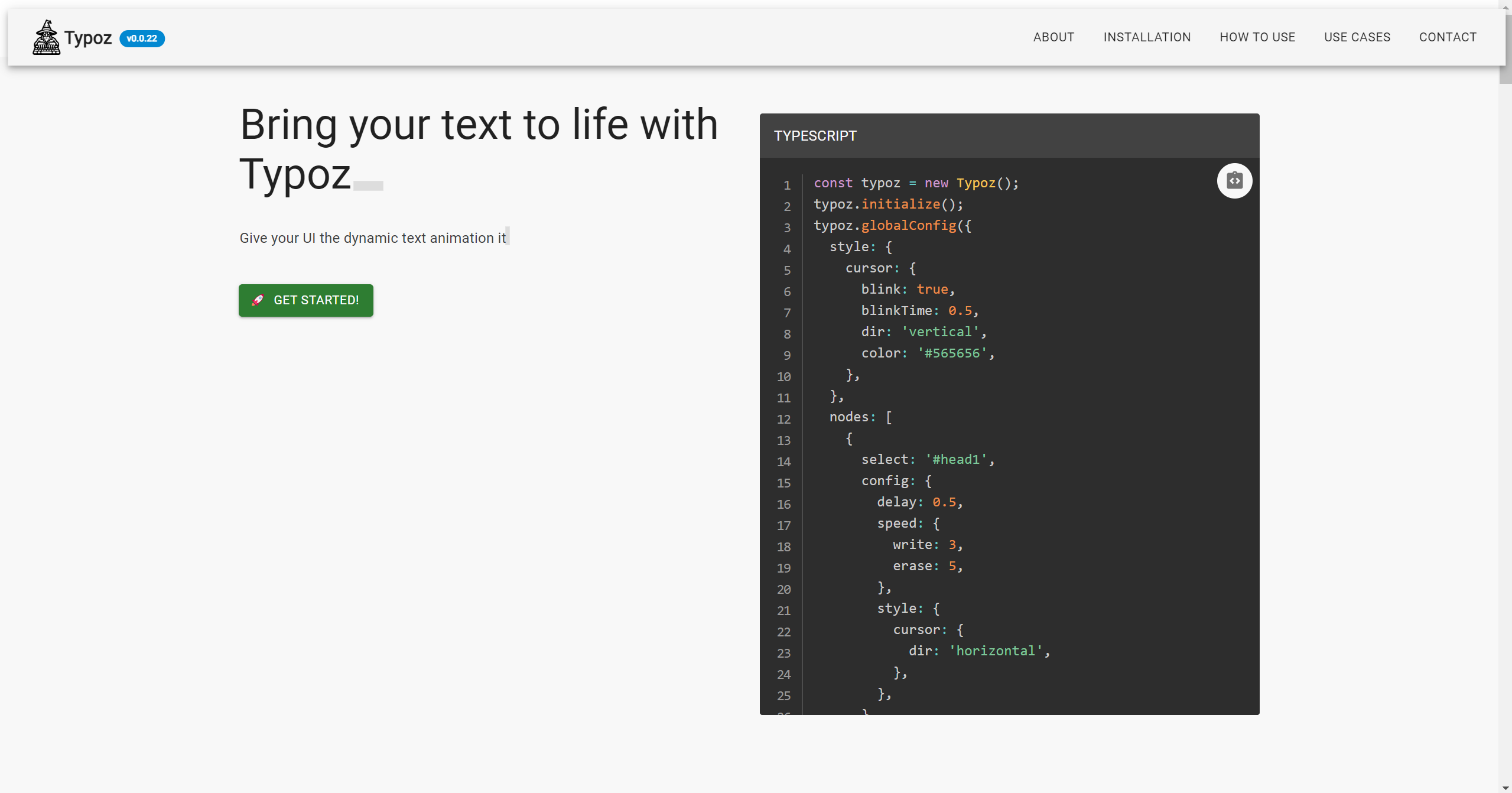project: typoz npm module sample